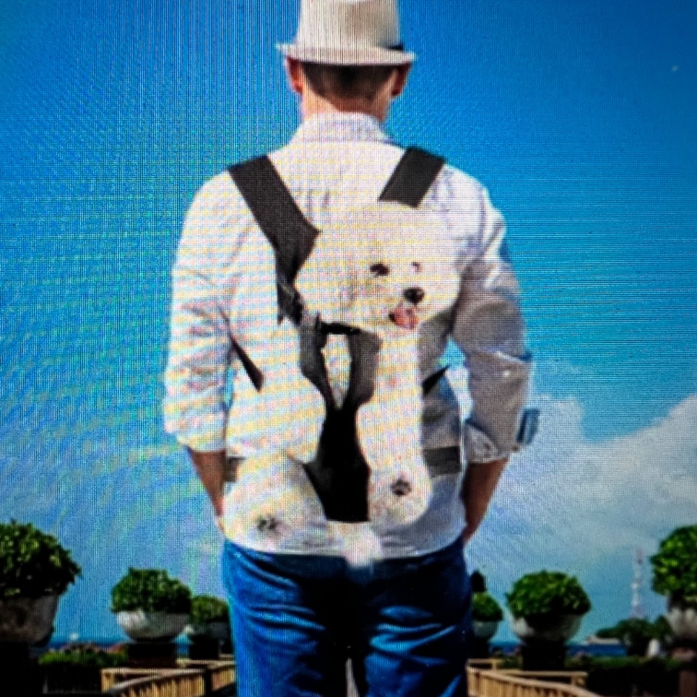 NEW: XL SlowTon Pet Carrier